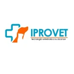Proyecto nuevo (22)